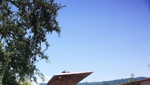Une piscine entourée d’une clôture en bois et de verdure, avec des chaises longues et un parasol.