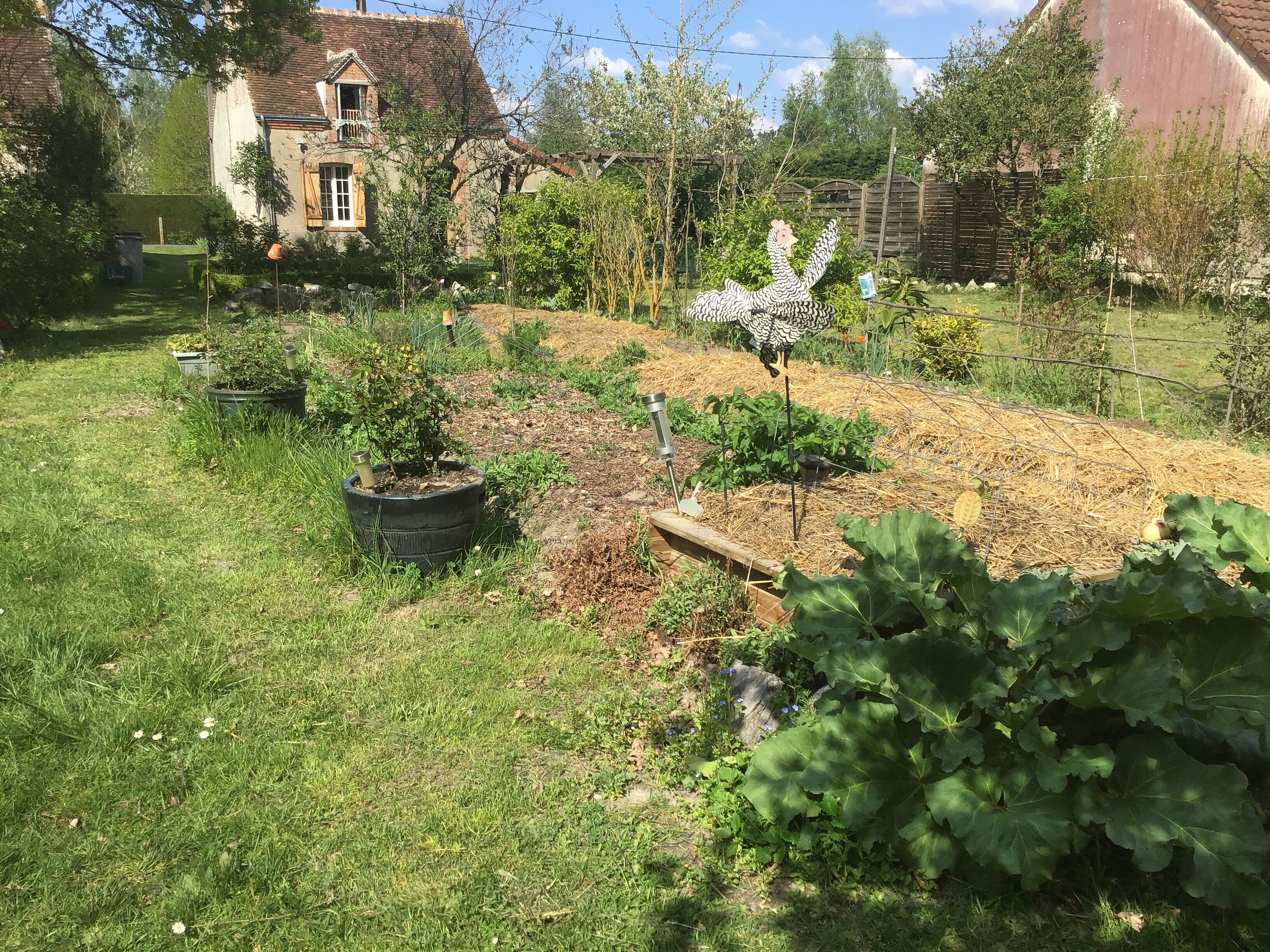 Terrein van de accommodatie