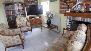 Televisión, chimenea, reproductor de DVD y libros