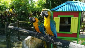 Áreas de la propiedad