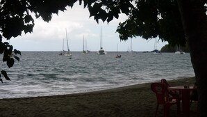 Una playa con una fila de sillas rojas y una mesa bajo un árbol, con vista a aguas tranquilas y varios veleros.