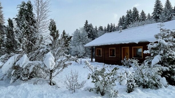 A wooden cabin surrounded by snow-covered trees. - Chalet Le Lynx (Ferdrupt)