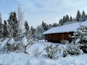 Uma cabana de madeira rodeada por árvores cobertas de neve.