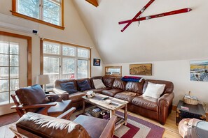 TV, fireplace, video games, DVD player