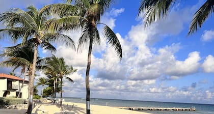 NEWLY RENOVATED! beach/ocean views, 2 BR, 2BA, quiet, gorgeous beach.