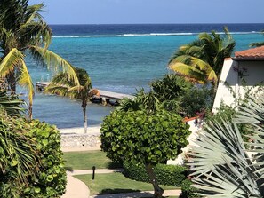 Property grounds - NEWLY RENOVATED! beach/ocean views, 2 BR, 2BA, quiet, gorgeous beach. (West Bay)