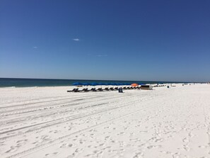 Een strand met rijen ligbedden en parasols, een heldere lucht en de oceaan op de achtergrond.