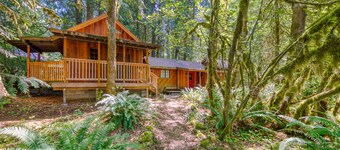 Private cabin with hot tub & wood stove, near Mt. Hood