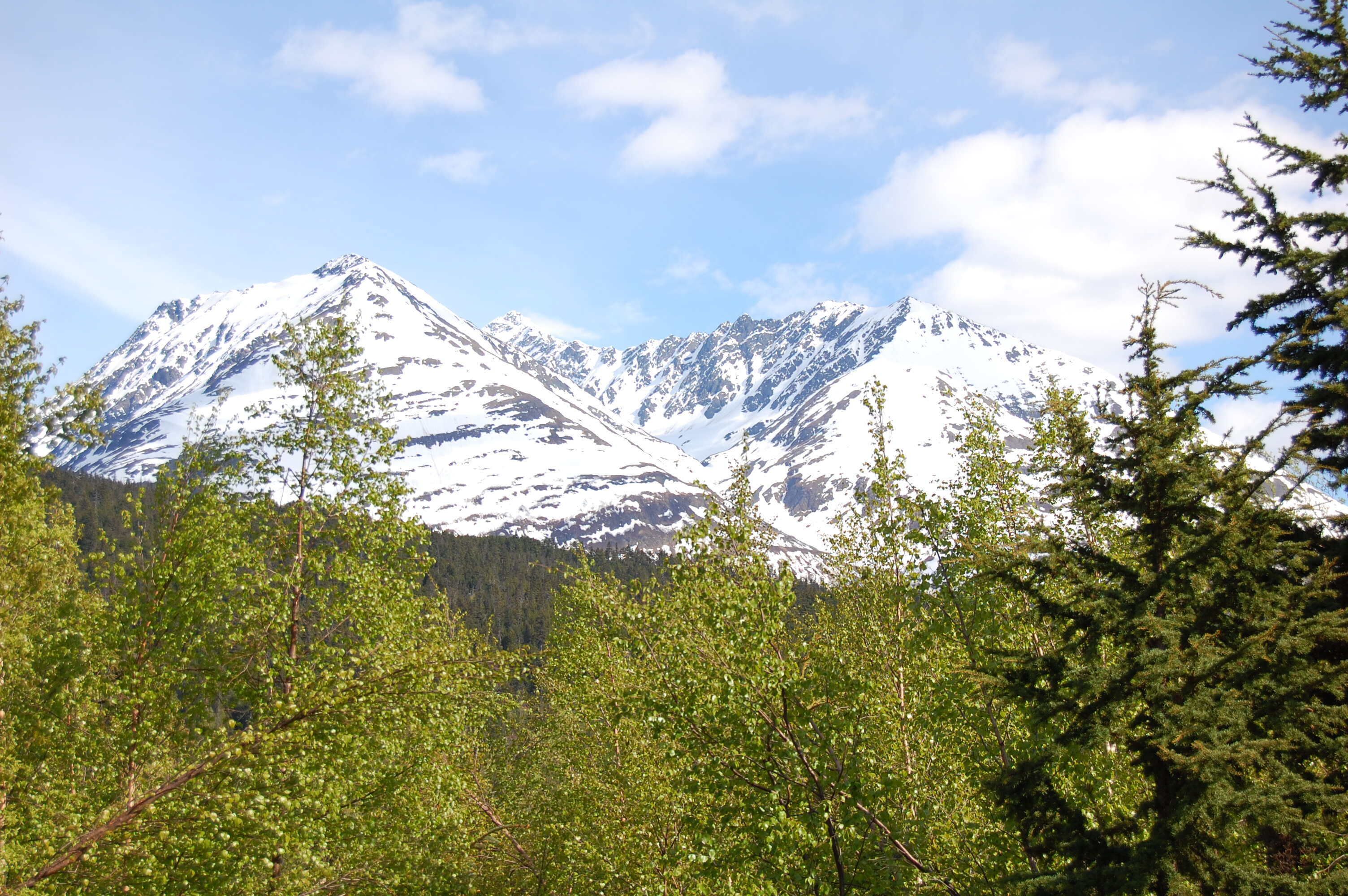 A mountain landscape with snow-covered peaks and dense green foliage in the foreground.