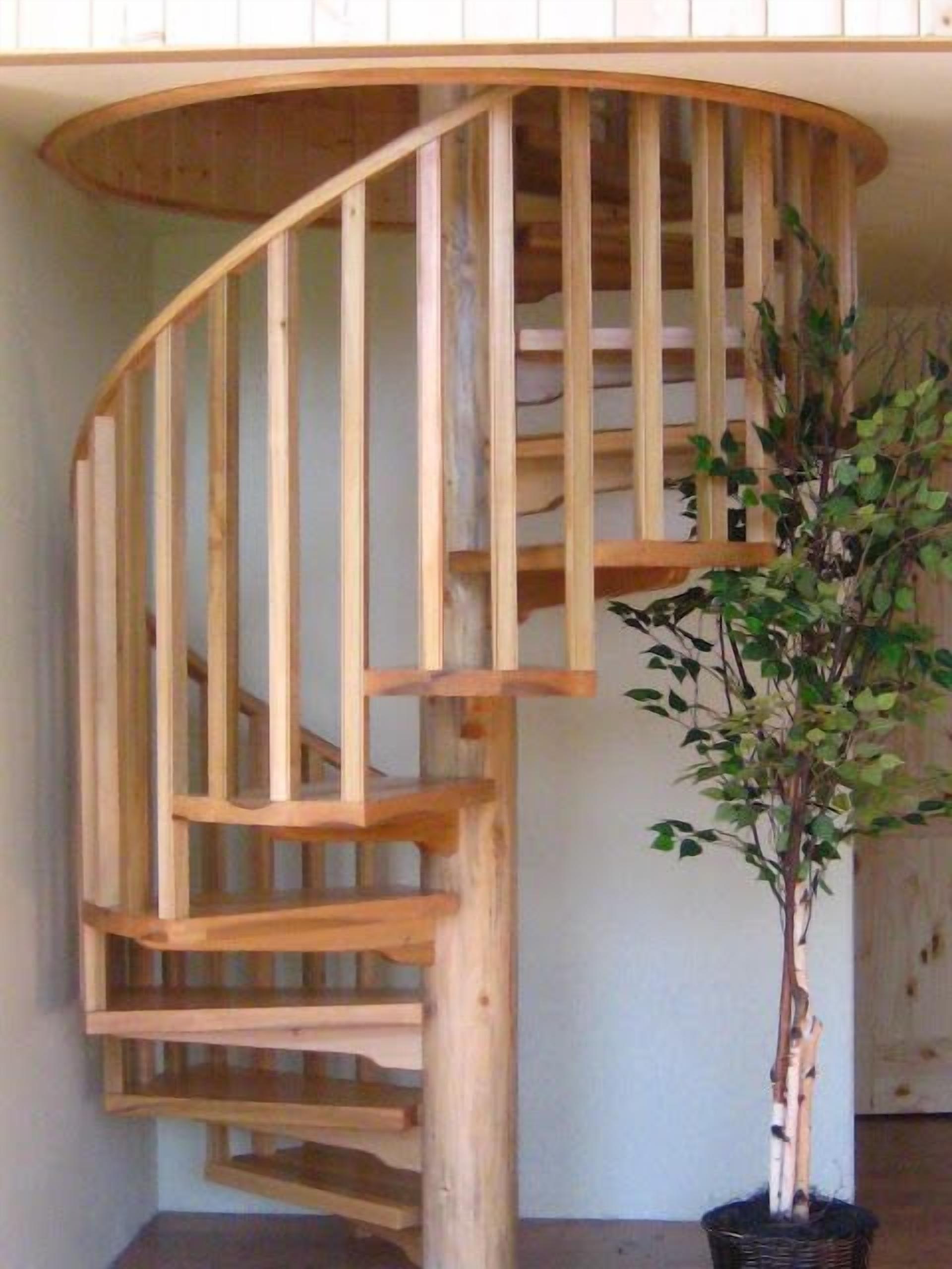A wooden spiral staircase with a potted plant beside it.