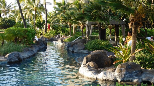 A serene pool area with clear water, surrounded by rocks and lush greenery. - Wow!-Best of HK-Inner Courtyard-Ocean Views-Steps to Beach & Pool-100+ Reviews (Lahaina)
