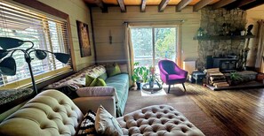 Smart TV, fireplace, DVD player, books