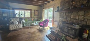 Televisor intel·ligent, llar de foc, reproductor de DVD i llibres 