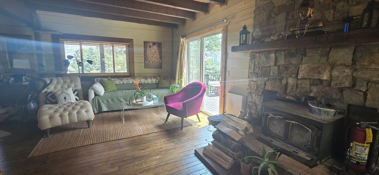 Tranquil Retreat W/ Private National Forrest Access, Pond & Creek - Westcliffe, CO