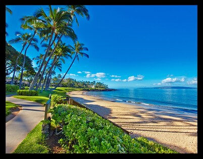 ~ This Is Wailea Living ~