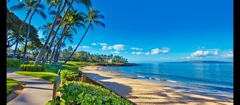 ~ This Is Wailea Living ~