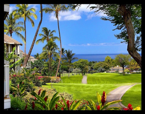 ** RÉNOVÉ, BELLE NOMINATION, BIEN STOCKÉ - NOS RÉVISIONS LE DITES TOUS **