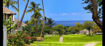 ~ BOOK WITH WITH US AND WITH  CONFIDENCE THOUGH 2031 ~