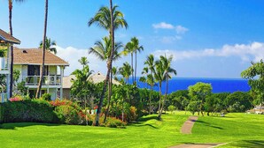 Een resort met uitzicht op de oceaan, palmbomen en een verzorgd gazon.