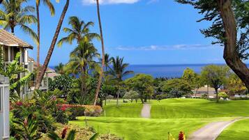 A lush green golf course with a clear view of the ocean, surrounded by palm trees and tropical plants.