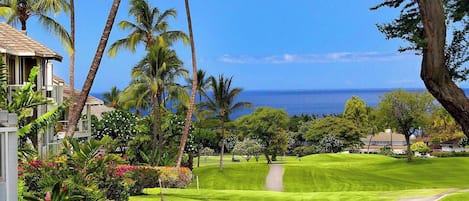 A lush green golf course with a clear view of the ocean, surrounded by palm trees and tropical plants.