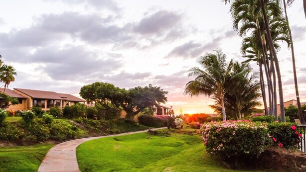 A well-maintained garden with a curved pathway, lush greenery, and palm trees. - Wailea Ekahi #45-E Ocean View Beachfront Resort Great Rates, Pool, Near Beach (Wailea)