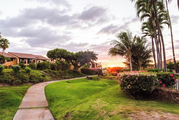 A well-maintained garden with a curved pathway, lush greenery, and palm trees.