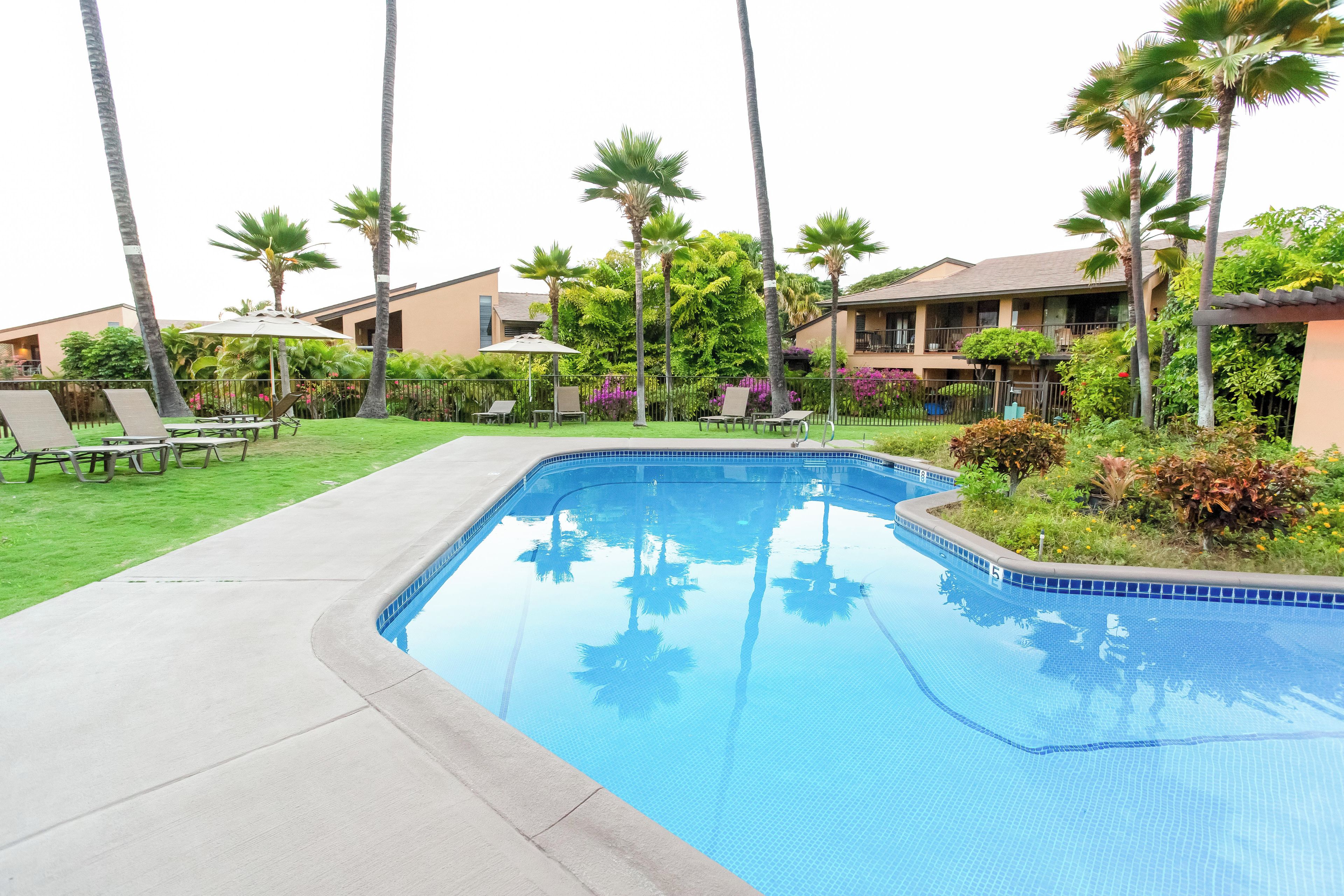 A swimming pool with lounge chairs and palm trees.