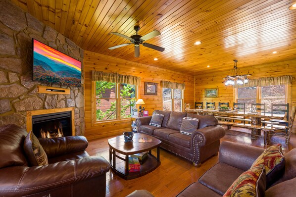 TV, fireplace, DVD player