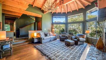 Een televisie, een open haard, een tafeltennistafel en boeken