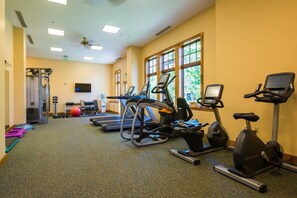 Fitness facility - Modern Retreat near the Slopes | Pool, Hot Tub (Crested Butte)