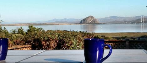 Vista desde la propiedad