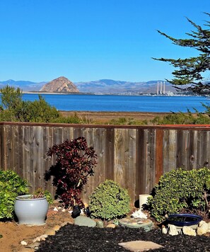 Property grounds - Stunning Morro Rock Views from the Bach Bay Estuary (Los Osos)