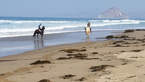 Een strand met twee paarden en berijders nabij de waterlijn.