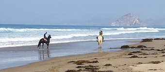 Pelican Cove located on the Back Bay with Morro Rock Views