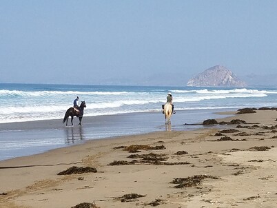 Pelican Cove located on the Back Bay with Morro Rock Views