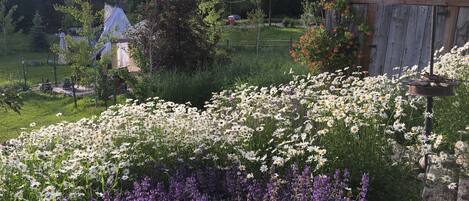 Overnattingsstedets uteområder