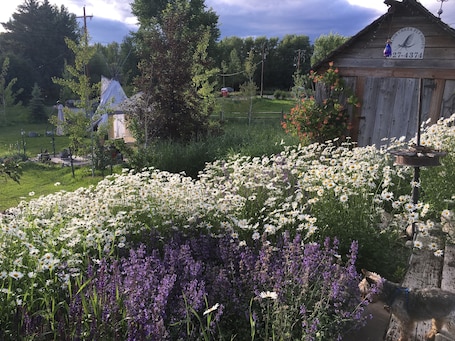 Property grounds. Nestled between Big Sky Ski Resort & Bridger Bowl In The Heart of the Rockies