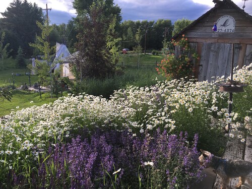 Nestled between Big Sky Ski Resort & Bridger Bowl In The Heart of the Rockies