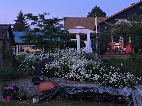 Un jardín con flores blancas, un banco de madera y una parrilla para barbacoa.