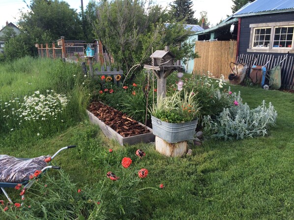 Un jardín con un cantero elevado, un comedero para pájaros y diversas plantas.
