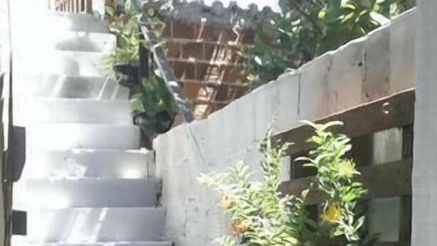 Una escalera de hormigón con plantas a los lados, que conduce a un espacio cubierto.