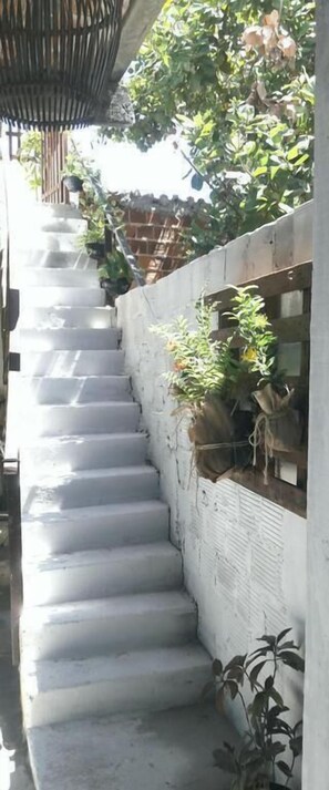 A concrete staircase with plants on the sides, leading to a covered area. - Casa da Vila (Mata de São João)