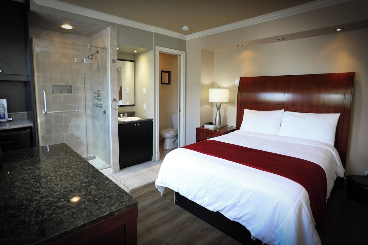 Standard Studio, 1 Double Bed, Non Smoking | Desk, blackout drapes, soundproofing, rollaway beds (surcharge)
