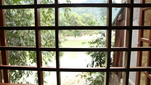 A window with a grid pattern, through which a garden and a building are visible.