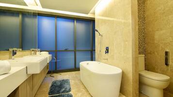 Combined shower/tub, hair dryer, bidet, towels