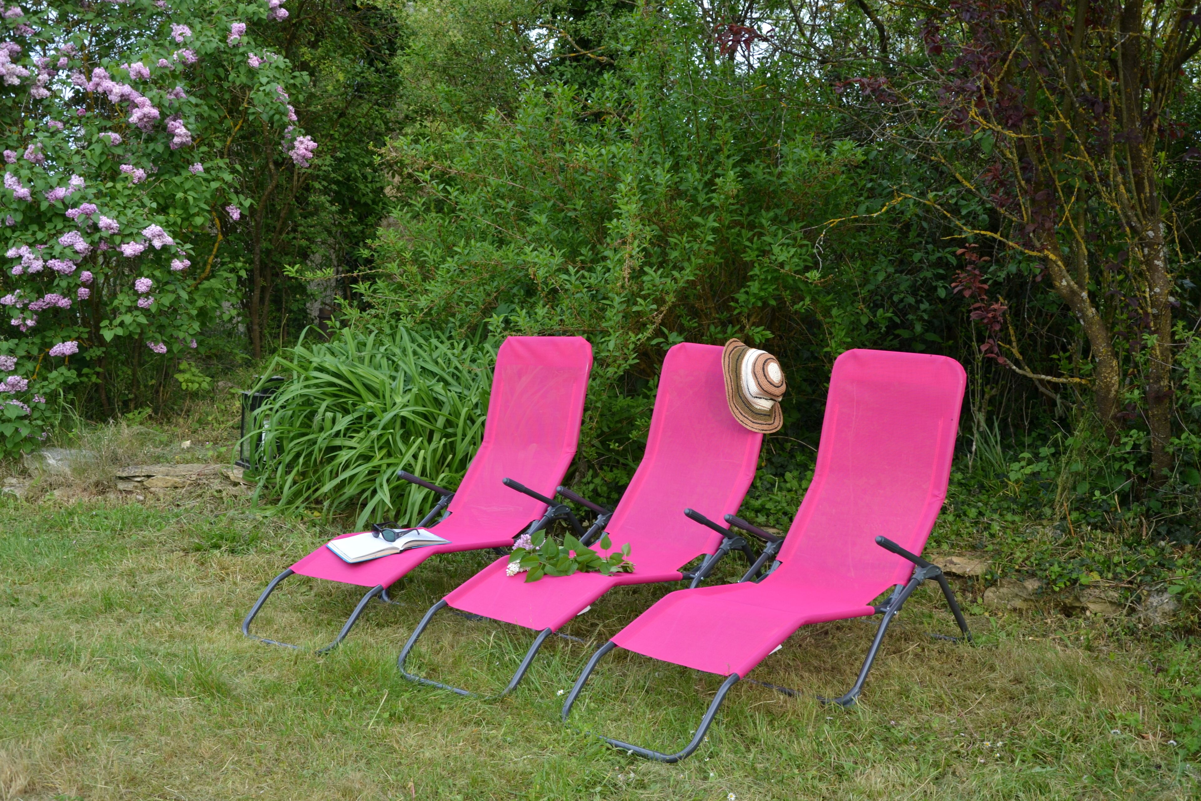 Três poltronas cor-de-rosa em um jardim com folhagem densa e uma árvore ao fundo.