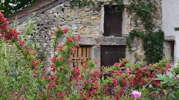 Jardin