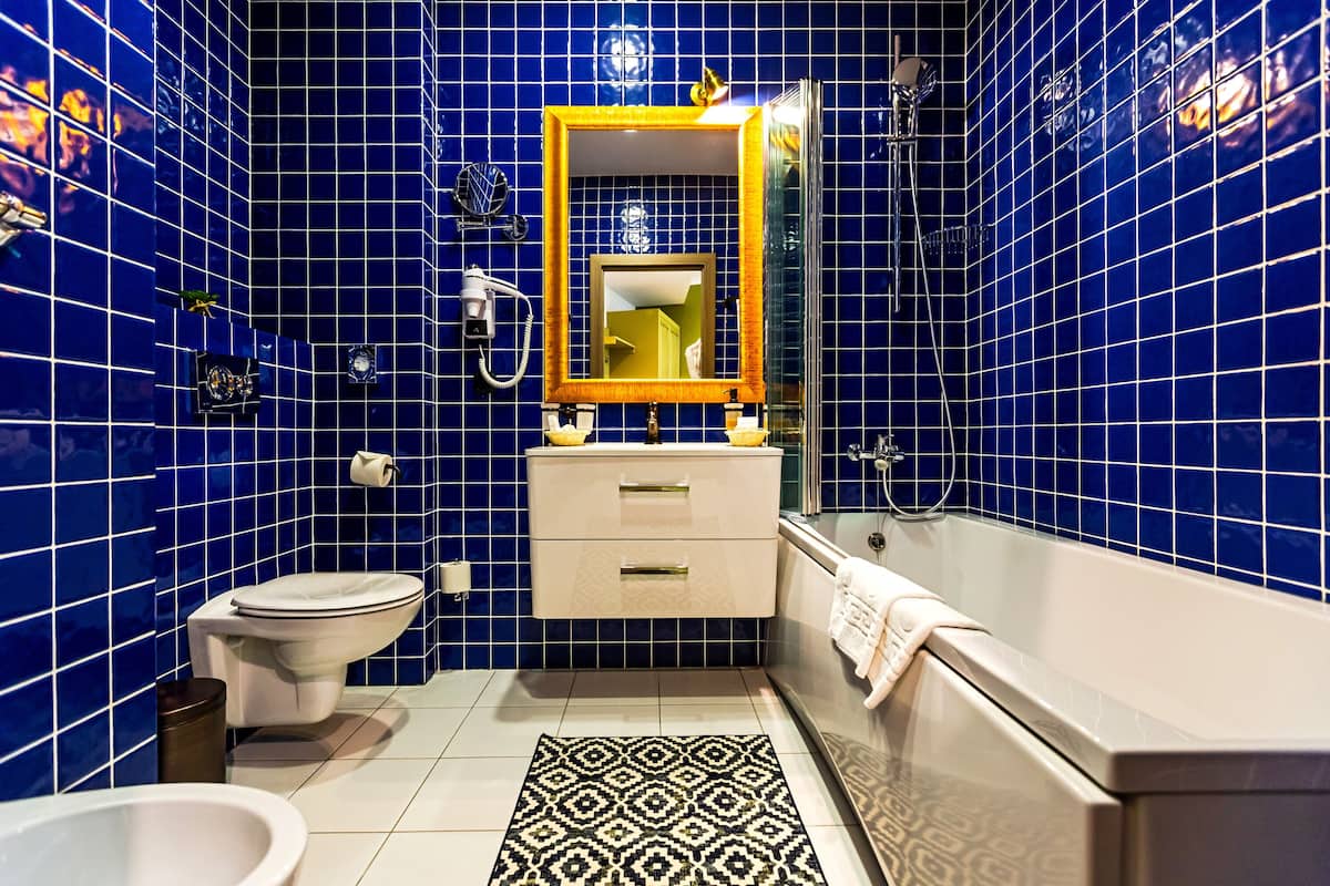 premium studio, 1 king bed with sofa bed, non smoking | bathroom | hair dryer, towels, soap, shampoo