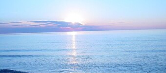 1 bed/1 bath, 1.5 blocks to beach/town, dog friendly, screened prch, fenced yard